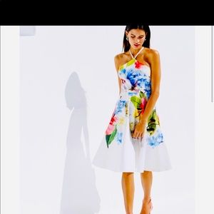Ted Baker London Corpina floral halter forget me not dress SZ 2